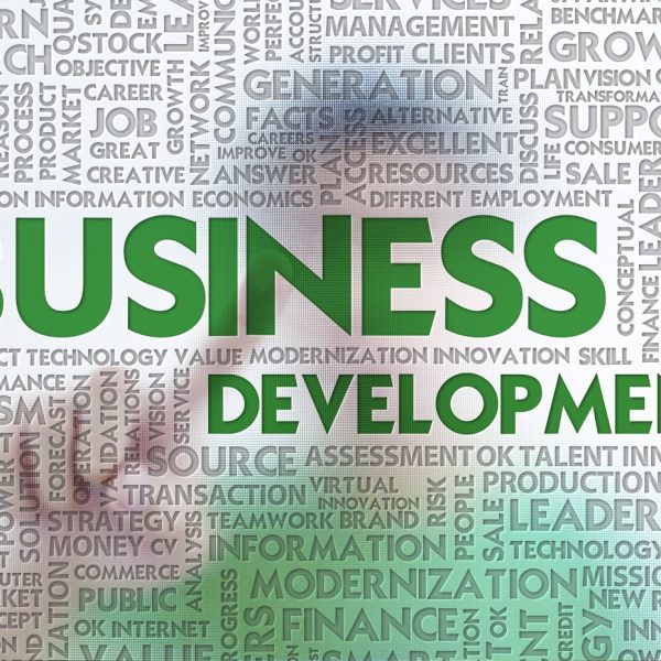 BusinessDevelopmentEITD