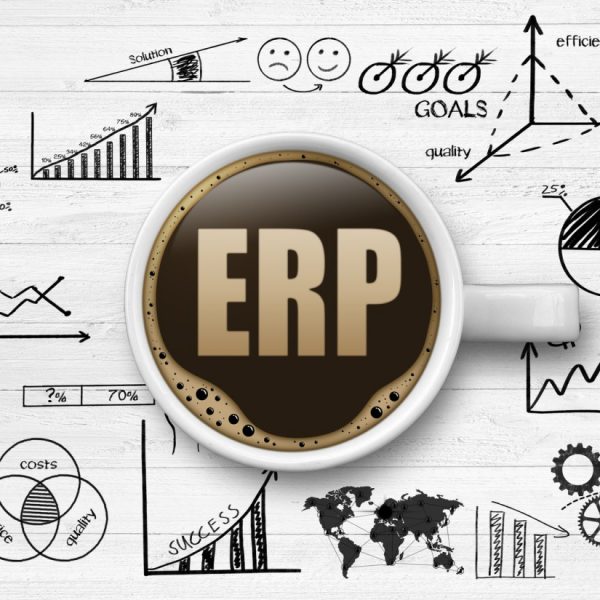 ERP.PNG