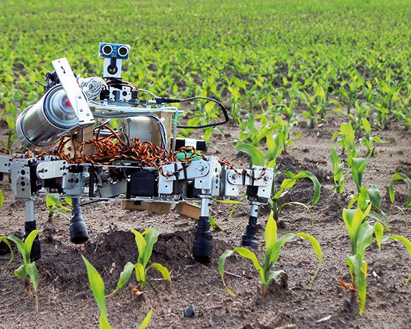 IT in agriculture EITD